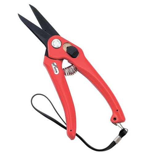 yKamakizP-901  etn n 195o