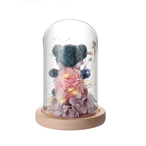 IVEOPPE Rose Eternelle sous Cloche - Ours en Rose avec Lumière LED, Cadeau Femme, Maison Décoration, Cadeau pour Noël, Mariage, Anniversaire, Fête des Mères, Cadeau pour Maman
