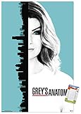 Trends International Grey's Anatomy Season 13 - One Sheet Wall Poster, 22.375' x 34', Premium Poster...