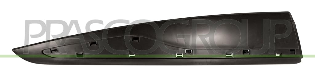 Barra Di Protezione Porta Posteriore Destra Nera-image