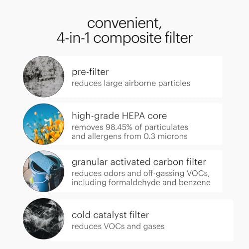 True HEPA Air Purifier for Allergies