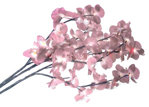 Fleur d'orchidée 3 tiges Rose de haute qualité esthétique et durable