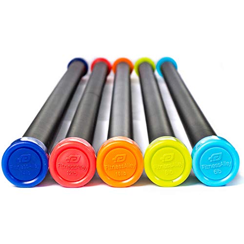 10 Best Weighted Workout Bars 2023 There's One Clear Winner