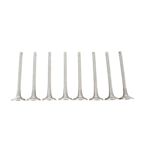 LR069031 Replaceable Accessories AUTO-MOHITO 1pc/Set