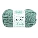 LION BRAND YARN Company 640-116 Yarn Thick & Quick Succulent