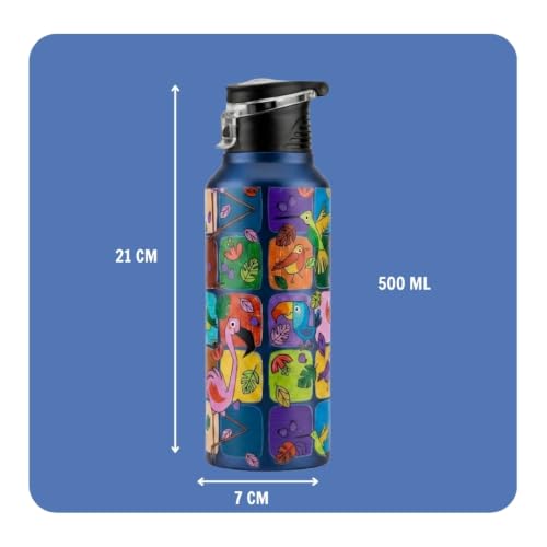 Image of VOIK Printed Stainless Steel Water Bottles for Kids, Office, Sports & Travel (750 ML) (Flamingo-Flipper)