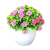 Artificial Potted Bonsai Small Green Plant Tree Decor Simulated Flower Desk Potted Ornament Realistic Visual Beauty Faux Bonsai Plant for Home Office Room Hotel