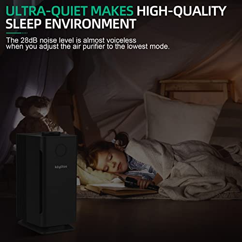 https://m.media-amazon.com/images/I/41bGFWQJlEL._SL500_.jpg