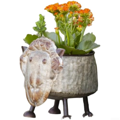 Macetas de plástico modernas tipo gato para plantas de interior 4
