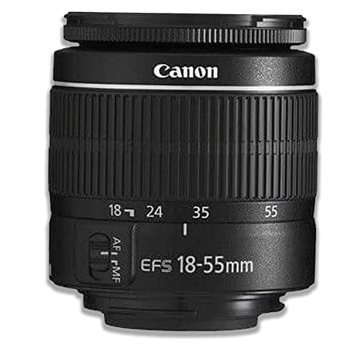 Canon Eos 2000D Rebel T7 Bundle con Lente 18-55mm y Accesorios miniatura 3
