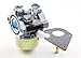 Briggs & Stratton 495782 Carburetor Assembly Replaces 494894