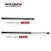 Maxpow Rear Window Glass Lift Support Gas Spring Struts Shocks 4365 Compatible with 2002 2003 2004 2005 2006 2007 Liberty Back Window Glass Lift Support, SG314048