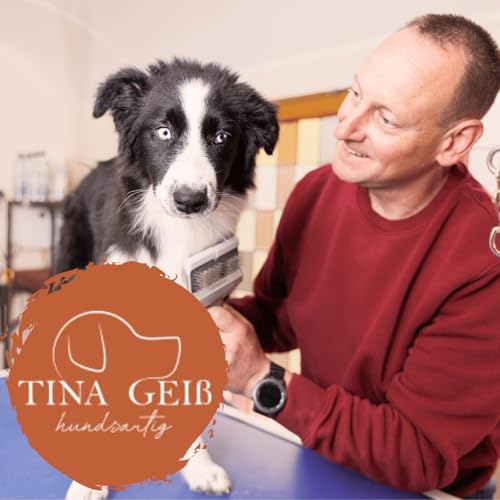 Hundsartig gefellt