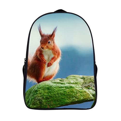 Sac à dos d'école écureuil 3D cartable mixte enfant 40x28x16cm