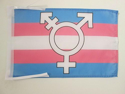 AZ FLAG, Transgender Symbol Flag, 18'' x 12'', 100% Polyester Rainbow Small Banner with Two Cords, Fade Resistant