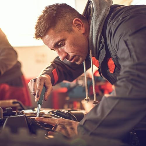 Ciieeo Kit de Suministros de Reparación Estuche Resistente para Uso Doméstico y Proyectos de Jardinería 20 Piezas de Herramientas Manuales 5.31X5.31X2.36 Pulgadas - imagen 3