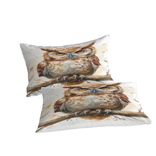 Housse de couette microfibre à fermeture éclair Chouette Cool 3 pièces
