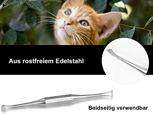 Mini Hunde Zahnsteinkratzer Zahnsteinentferner Haustier Zahnpflege Zahnreiniger für Tiere Zahnbürsten-Alternative aus Edelstahl
