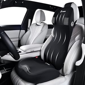 FLORICH Cojín para asiento de automóvil y soporte lumbar, almohada de espuma viscoelástica, cojín ergonómico para el automóvil, cojín de apoyo para la espalda y el cuello, para aliviar el dolor de