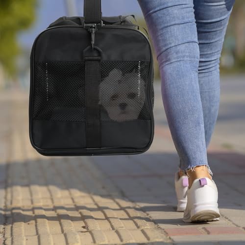 Amexo Transporttasche für Katze Hund, Hundebox Faltbar Katzen Transportboxen Hundetragetasche Transportbox mit Tragegriffen & Decke für Mittelgroße Katzen & Hunde bis 10 kg, 44 x 27 x 28 cm(Schwarz)
