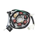 Función: Bobina del estator magnético de encendido de la motocicleta, que puede minimizar la pérdida magnética.