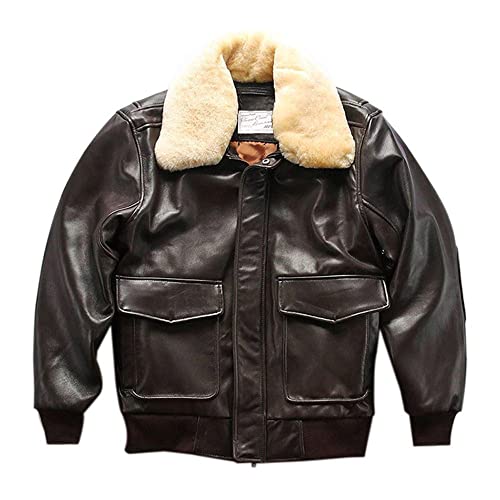 [VIIBOY] vWPbg A2tCgWPbg {vWPbg U[WPbg E[ rv vW rvoCNWPbg Y (L, B)