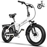 Kebiko F6B 1000W Fat Tire