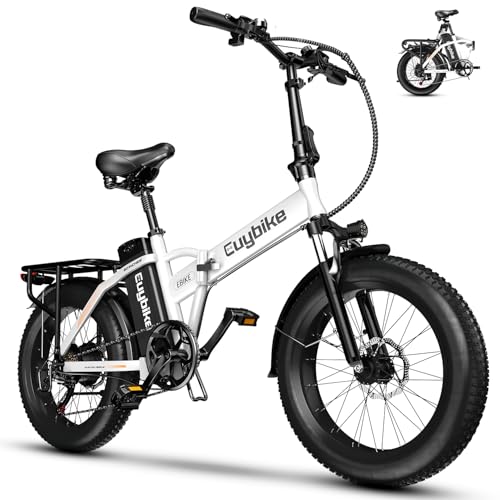 Image of 1000W Foldable Electric Bike,48V 20AH Removable Battery Ebike,80 Miles Max Range Electric Bike for Adults,20 inch Fat Tire Folding Ebike,Adult Electric Bicycle for Commute Beach Snow