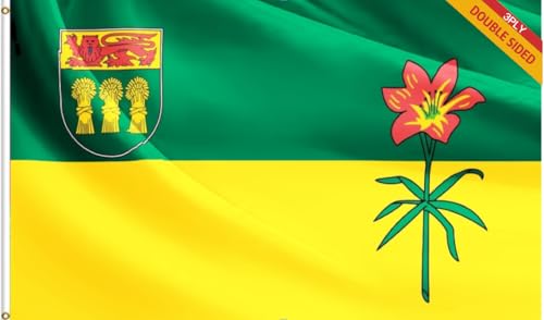 Double Sided Large Canada Saskatchewan Flag 3X5FT 3ply, with Shading Cloth Inside,90X150CM Canadian SK Province Flag, Vivid Color, All Weather, Double Stitched Canadian Province of Saskatchewan Flags Polyester with Brass Grommets (SK 3ply, 3X5) by cuttencreat - Used condition - CA$21.12