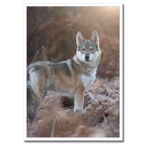 Poster Leader of the Wolf Pack encadré noir pour habiller un mur
