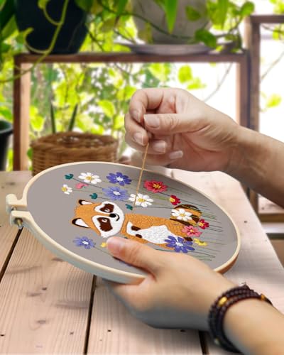 Image of TINDTOP 3 Pack Embroidery Kit for Adult Beginners, Embroidery DIY Starter Kit, with Raccoon Stamped Patterns, Hoop, Tools, Colorful Threads with Needles, Instructions