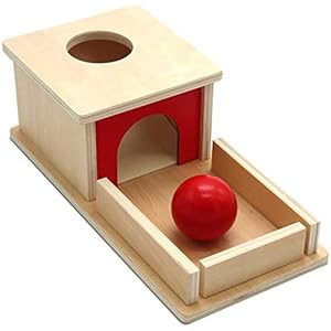 Ball Push Toy – Object Permanence Ball Push Toy Object Permanence Box Gift for Infant Toddlers and Babies.
