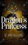 Dragon's Princess (The Twin Dragons Book 1) (English Edition)