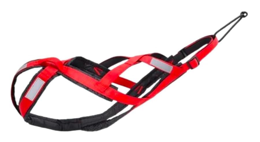 Total Anti-Zieh-Geschirr für Sport mit Hund, Laufen, Canicross, Schlitten, Mushing, Fahrrad, Roller... (L, Rot)