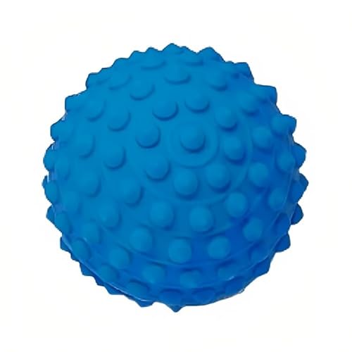Kit 12 Bolinha Cravo Fisioterapia Anti Stress Mão Bola Pet (Azul)