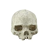 Schafft ein natürliches Versteck für kleine Reptilien und Amphibien.