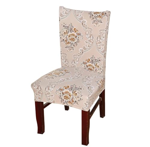 Image of House of Quirk Elastic Chair Cover Stretch Removable Washable Short Dining Chair Cover Protector Seat Slipcover (Pack of 1, Beige Iris)