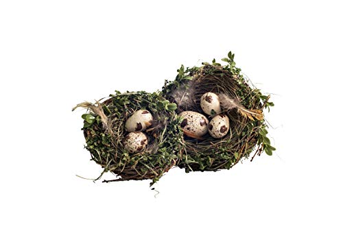 Vita Domi Sweet Annie Set of 2 Bird Nests with Eggs, 7.5