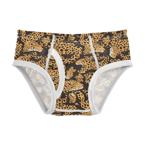 ALAZA Leopard Skin Fashion Boys Underwear Cotton Boys Briefs Toddler Soft Underwear 8Y