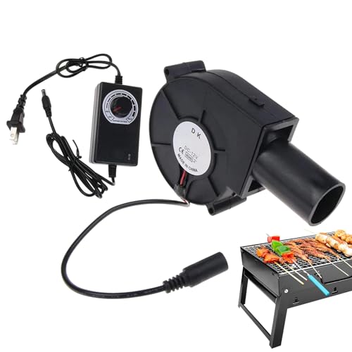 Lnhgh Ventiladores de ventilador de alta velocidad, ventilador de aire Mover - Ventilador de barbacoa eléctrico de alta velocidad Soplador eléctrico de barbacoa - Ventilador de soplado