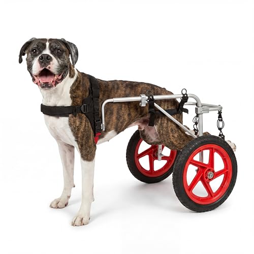 Best Friend Mobility Large Back Leg Dog Wheelchair | 2.0 Design | 2026 Updated Model