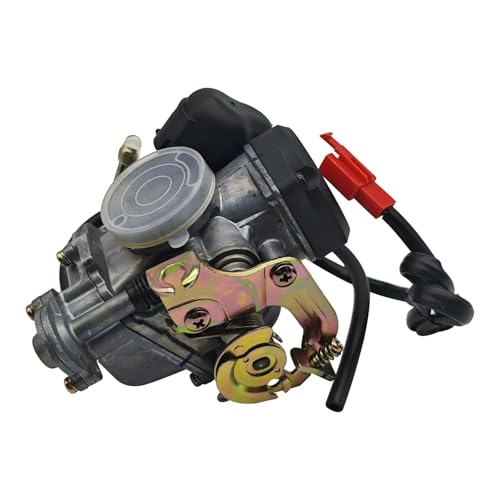 Carburateur Moto et Scooter Piaggio ZIP Premium