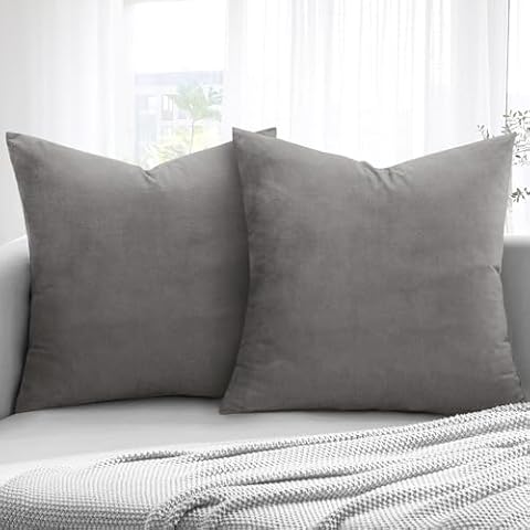 Aspire Homeware Grey Velvet Cushion Covers Set Cover