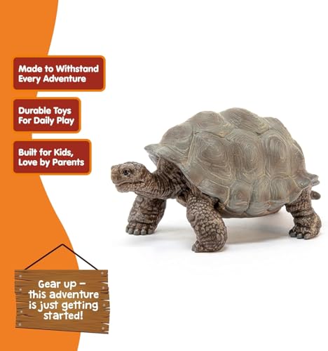 SCHLEICH Wild Life - Giant Tortoise Figurine - Realistic Galapagos Turtle Figure with Detailed Skin Texture - Durable Wildlife Rescue Reptile Toy for Educational Play - Boys and Girls 3+ | 14824