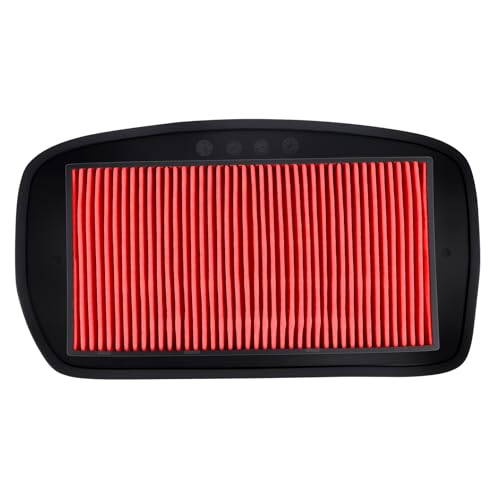 Cyleto Filtros de Aire para Yamaha FZ6 2004-2010 Fazer 600 FZ6 2004-2006 FZ6 Fazer S2 ABS 2007-2009