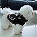 PcEoTllar Wasserdichter Hundemantel für kleine Hunde, warme reflektierende Jacke mit Geschirr für den Winter, Ski-Kostüm, Baumwolle, Hundepullover