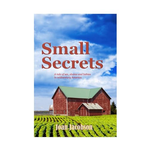Small Secrets Audiolibro Por Joan Jacobson arte de portada
