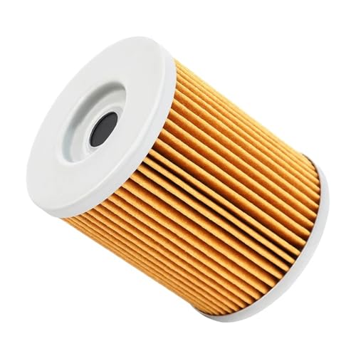 Filtre à huile moto Caponord ETV1000 et RSV, idéal pour préparer vos grands voyages
