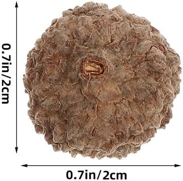 200pcs Natural Acorn Caps: Christmas Rustic Acorns Topper for Craft DIY- Thanksgiving Pine Cone Ornament for Winter Decoration Wreath Vase Filler