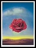 Drucktechnik: Offsetdruck Germanposters Salvador Dali Poster Kunstdruck Bild Meditative Rose Rahmen Holz Schwarz 84,8x64,8cm